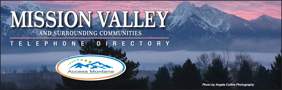 Access Montana 411